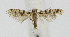  ( - BGE_00241_A06)  @11 [ ] Creative Commons  Attribution Non-Commercial Share-Alike (2024) Kai Berggren NTNU University Museum, Department of Natural History