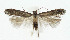  ( - BGE_00241_B02)  @11 [ ] Creative Commons  Attribution Non-Commercial Share-Alike (2024) Kai Berggren NTNU University Museum, Department of Natural History