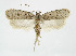  ( - BGE_00241_B09)  @11 [ ] Creative Commons  Attribution Non-Commercial Share-Alike (2024) Kai Berggren NTNU University Museum, Department of Natural History