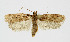  ( - BGE_00241_B10)  @11 [ ] Creative Commons  Attribution Non-Commercial Share-Alike (2024) Kai Berggren NTNU University Museum, Department of Natural History