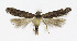  ( - BGE_00241_E06)  @11 [ ] Creative Commons  Attribution Non-Commercial Share-Alike (2024) Kai Berggren NTNU University Museum, Department of Natural History