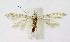  ( - BGE_00241_F07)  @11 [ ] Creative Commons  Attribution Non-Commercial Share-Alike (2024) Kai Berggren NTNU University Museum, Department of Natural History