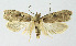  ( - BGE_00221_A05)  @11 [ ] Creative Commons  Attribution Non-Commercial Share-Alike (2023) Kai Berggren NTNU University Museum, Department of Natural History