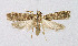  ( - BGE_00221_A06)  @11 [ ] Creative Commons  Attribution Non-Commercial Share-Alike (2023) Kai Berggren NTNU University Museum, Department of Natural History