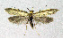  ( - BGE_00221_B01)  @11 [ ] Creative Commons  Attribution Non-Commercial Share-Alike (2023) Kai Berggren NTNU University Museum, Department of Natural History
