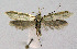  ( - BGE_00221_B02)  @11 [ ] Creative Commons  Attribution Non-Commercial Share-Alike (2023) Kai Berggren NTNU University Museum, Department of Natural History