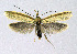  ( - BGE_00221_B03)  @11 [ ] Creative Commons  Attribution Non-Commercial Share-Alike (2023) Kai Berggren NTNU University Museum, Department of Natural History