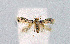  ( - BGE_00221_F05)  @11 [ ] Creative Commons  Attribution Non-Commercial Share-Alike (2023) Kai Berggren NTNU University Museum, Department of Natural History
