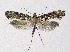  ( - BGE_00221_G01)  @11 [ ] Creative Commons  Attribution Non-Commercial Share-Alike (2023) Kai Berggren NTNU University Museum, Department of Natural History