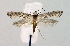  ( - BGE_00221_G02)  @11 [ ] Creative Commons  Attribution Non-Commercial Share-Alike (2023) Kai Berggren NTNU University Museum, Department of Natural History