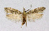  ( - BGE_00222_A12)  @11 [ ] Creative Commons  Attribution Non-Commercial Share-Alike (2023) Kai Berggren NTNU University Museum, Department of Natural History