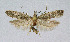  ( - BGE_00222_B01)  @11 [ ] Creative Commons  Attribution Non-Commercial Share-Alike (2023) Kai Berggren NTNU University Museum, Department of Natural History