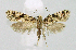  ( - BGE_00222_C04)  @11 [ ] Creative Commons  Attribution Non-Commercial Share-Alike (2023) Kai Berggren NTNU University Museum, Department of Natural History