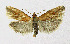  ( - BGE_00222_E07)  @11 [ ] Creative Commons  Attribution Non-Commercial Share-Alike (2023) Kai Berggren NTNU University Museum, Department of Natural History
