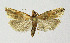  ( - BGE_00222_E08)  @11 [ ] Creative Commons  Attribution Non-Commercial Share-Alike (2023) Kai Berggren NTNU University Museum, Department of Natural History