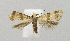  ( - BGE_00222_G06)  @11 [ ] Creative Commons  Attribution Non-Commercial Share-Alike (2023) Kai Berggren NTNU University Museum, Department of Natural History
