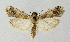  ( - BGE_00223_B10)  @11 [ ] Creative Commons  Attribution Non-Commercial Share-Alike (2023) Kai Berggren NTNU University Museum, Department of Natural History