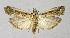  ( - BGE_00223_D04)  @11 [ ] Creative Commons  Attribution Non-Commercial Share-Alike (2023) Kai Berggren NTNU University Museum, Department of Natural History