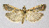  ( - BGE_00223_D05)  @11 [ ] Creative Commons  Attribution Non-Commercial Share-Alike (2023) Kai Berggren NTNU University Museum, Department of Natural History