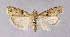  ( - BGE_00223_D09)  @11 [ ] Creative Commons  Attribution Non-Commercial Share-Alike (2023) Kai Berggren NTNU University Museum, Department of Natural History