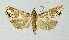  ( - BGE_00223_E04)  @11 [ ] Creative Commons  Attribution Non-Commercial Share-Alike (2023) Kai Berggren NTNU University Museum, Department of Natural History