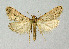  ( - BGE_00223_E06)  @11 [ ] Creative Commons  Attribution Non-Commercial Share-Alike (2023) Kai Berggren NTNU University Museum, Department of Natural History