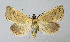  ( - BGE_00224_B12)  @11 [ ] Creative Commons  Attribution Non-Commercial Share-Alike (2023) Kai Berggren NTNU University Museum, Department of Natural History