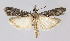  ( - BGE_00224_G07)  @11 [ ] Creative Commons  Attribution Non-Commercial Share-Alike (2023) Kai Berggren NTNU University Museum, Department of Natural History