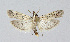  ( - BGE_00224_H06)  @11 [ ] Creative Commons  Attribution Non-Commercial Share-Alike (2023) Kai Berggren NTNU University Museum, Department of Natural History