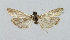  ( - BGE_00224_H11)  @11 [ ] Creative Commons  Attribution Non-Commercial Share-Alike (2023) Kai Berggren NTNU University Museum, Department of Natural History