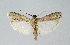  ( - BGE_00225_A04)  @11 [ ] Creative Commons  Attribution Non-Commercial Share-Alike (2023) Kai Berggren NTNU University Museum, Department of Natural History