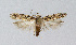  ( - BGE_00225_B07)  @11 [ ] Creative Commons  Attribution Non-Commercial Share-Alike (2023) Kai Berggren NTNU University Museum, Department of Natural History