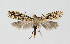  ( - BGE_00225_C09)  @11 [ ] Creative Commons  Attribution Non-Commercial Share-Alike (2023) Kai Berggren NTNU University Museum, Department of Natural History