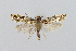  ( - BGE_00225_C10)  @11 [ ] Creative Commons  Attribution Non-Commercial Share-Alike (2023) Kai Berggren NTNU University Museum, Department of Natural History