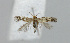  ( - BGE_00225_H04)  @11 [ ] Creative Commons  Attribution Non-Commercial Share-Alike (2023) Kai Berggren NTNU University Museum, Department of Natural History