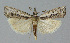  ( - BGE_00226_B11)  @11 [ ] Creative Commons  Attribution Non-Commercial Share-Alike (2023) Kai Berggren NTNU University Museum, Department of Natural History