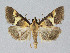  ( - BGE_00226_C08)  @11 [ ] Creative Commons  Attribution Non-Commercial Share-Alike (2023) Kai Berggren NTNU University Museum, Department of Natural History