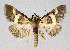  ( - BGE_00226_C09)  @11 [ ] Creative Commons  Attribution Non-Commercial Share-Alike (2023) Kai Berggren NTNU University Museum, Department of Natural History