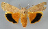  ( - BGE_00226_D11)  @11 [ ] Creative Commons  Attribution Non-Commercial Share-Alike (2023) Kai Berggren NTNU University Museum, Department of Natural History
