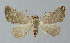  ( - BGE_00226_H09)  @11 [ ] Creative Commons  Attribution Non-Commercial Share-Alike (2023) Kai Berggren NTNU University Museum, Department of Natural History