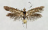  ( - BGE_00269_C04)  @11 [ ] Creative Commons  Attribution Non-Commercial Share-Alike (2024) Kai Berggren NTNU University Museum, Department of Natural History