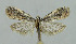  ( - BGE_00269_E02)  @11 [ ] Creative Commons  Attribution Non-Commercial Share-Alike (2024) Kai Berggren NTNU University Museum, Department of Natural History