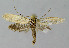  ( - BGE_00268_C05)  @11 [ ] Creative Commons  Attribution Non-Commercial Share-Alike (2024) Kai Berggren NTNU University Museum, Department of Natural History