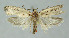  ( - BGE_00270_C03)  @11 [ ] Creative Commons  Attribution Non-Commercial Share-Alike (2024) Kai Berggren NTNU University Museum, Department of Natural History