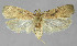  ( - BGE_00270_C09)  @11 [ ] Creative Commons  Attribution Non-Commercial Share-Alike (2024) Kai Berggren NTNU University Museum, Department of Natural History