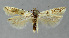  ( - BGE_00270_D02)  @11 [ ] Creative Commons  Attribution Non-Commercial Share-Alike (2024) Kai Berggren NTNU University Museum, Department of Natural History