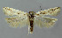  ( - BGE_00270_D03)  @11 [ ] Creative Commons  Attribution Non-Commercial Share-Alike (2024) Kai Berggren NTNU University Museum, Department of Natural History