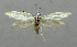  ( - BGE_00270_F07)  @11 [ ] Creative Commons  Attribution Non-Commercial Share-Alike (2024) Kai Berggren NTNU University Museum, Department of Natural History