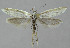  ( - BGE_00270_G03)  @11 [ ] Creative Commons  Attribution Non-Commercial Share-Alike (2024) Kai Berggren NTNU University Museum, Department of Natural History