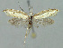  ( - BGE_00270_G04)  @11 [ ] Creative Commons  Attribution Non-Commercial Share-Alike (2024) Kai Berggren NTNU University Museum, Department of Natural History